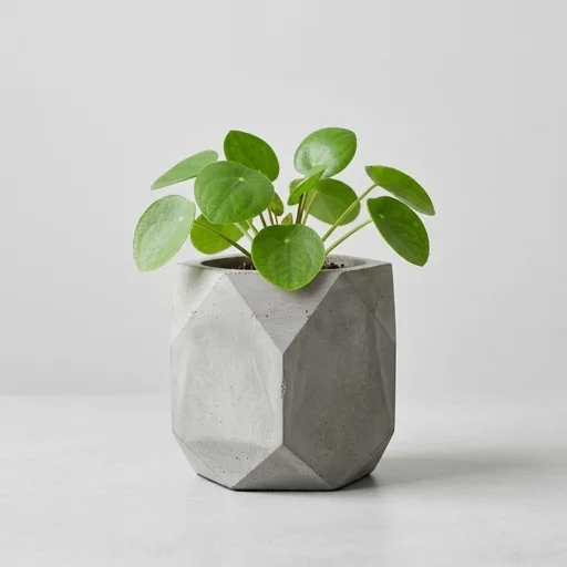 T4U Cement Geometric Planter
