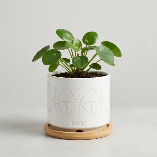 POTEY Ceramic Plant Pot with Bamboo Tray