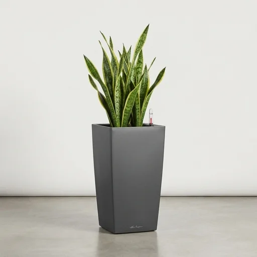 Lechuza Cubico Self-Watering Planter